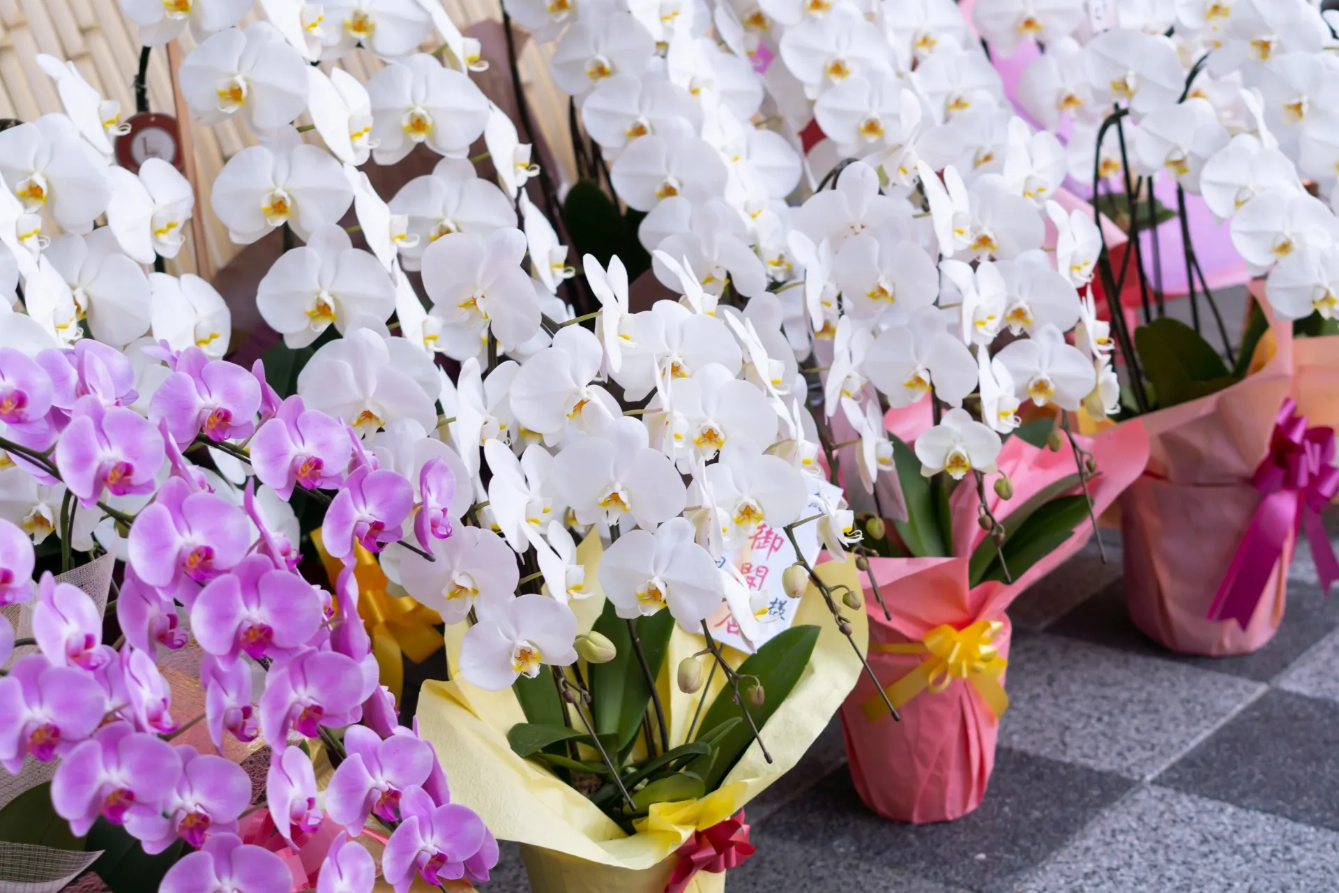 取り扱っている商品の一覧を公開